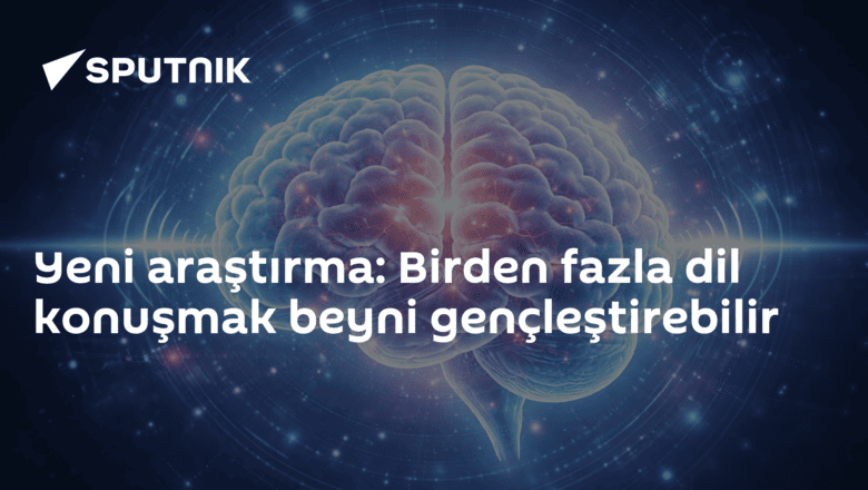 Çok dillilik