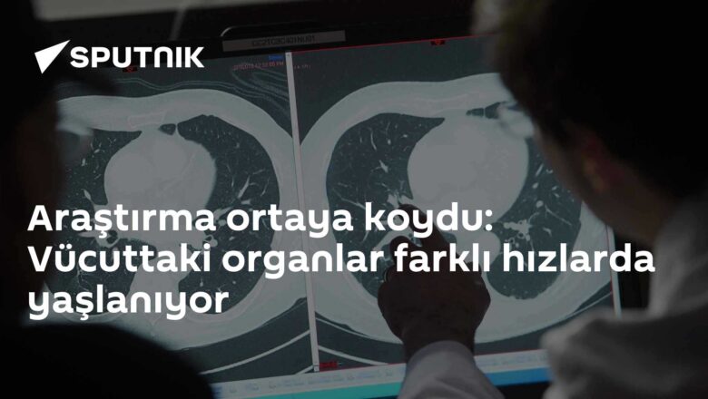 doku saatleri