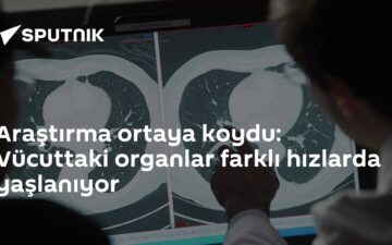 organ yaşlanması
