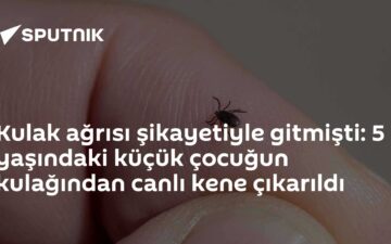 kene çıkarılması