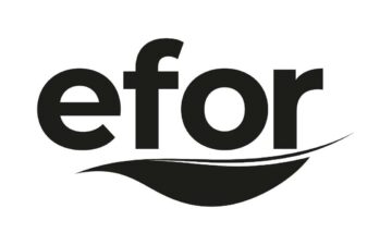 EFOR pay satışı