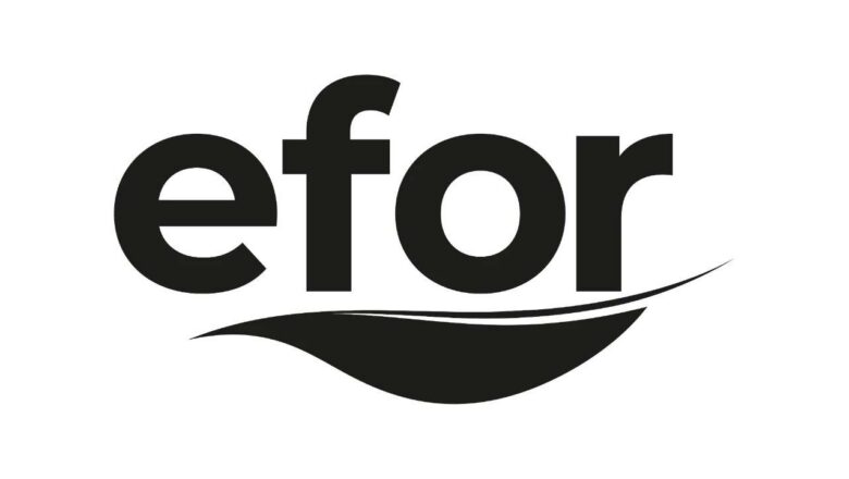 EFOR pay satışı