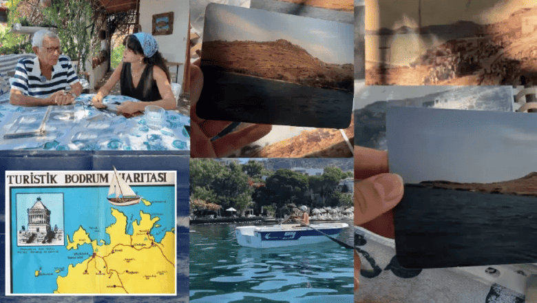 Bodrum Ormanı