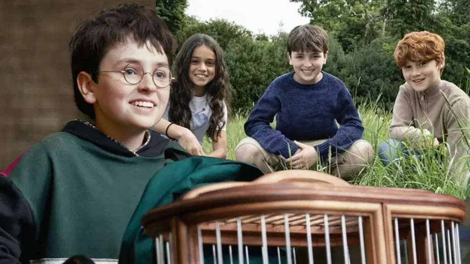 Harry Potter dizisi