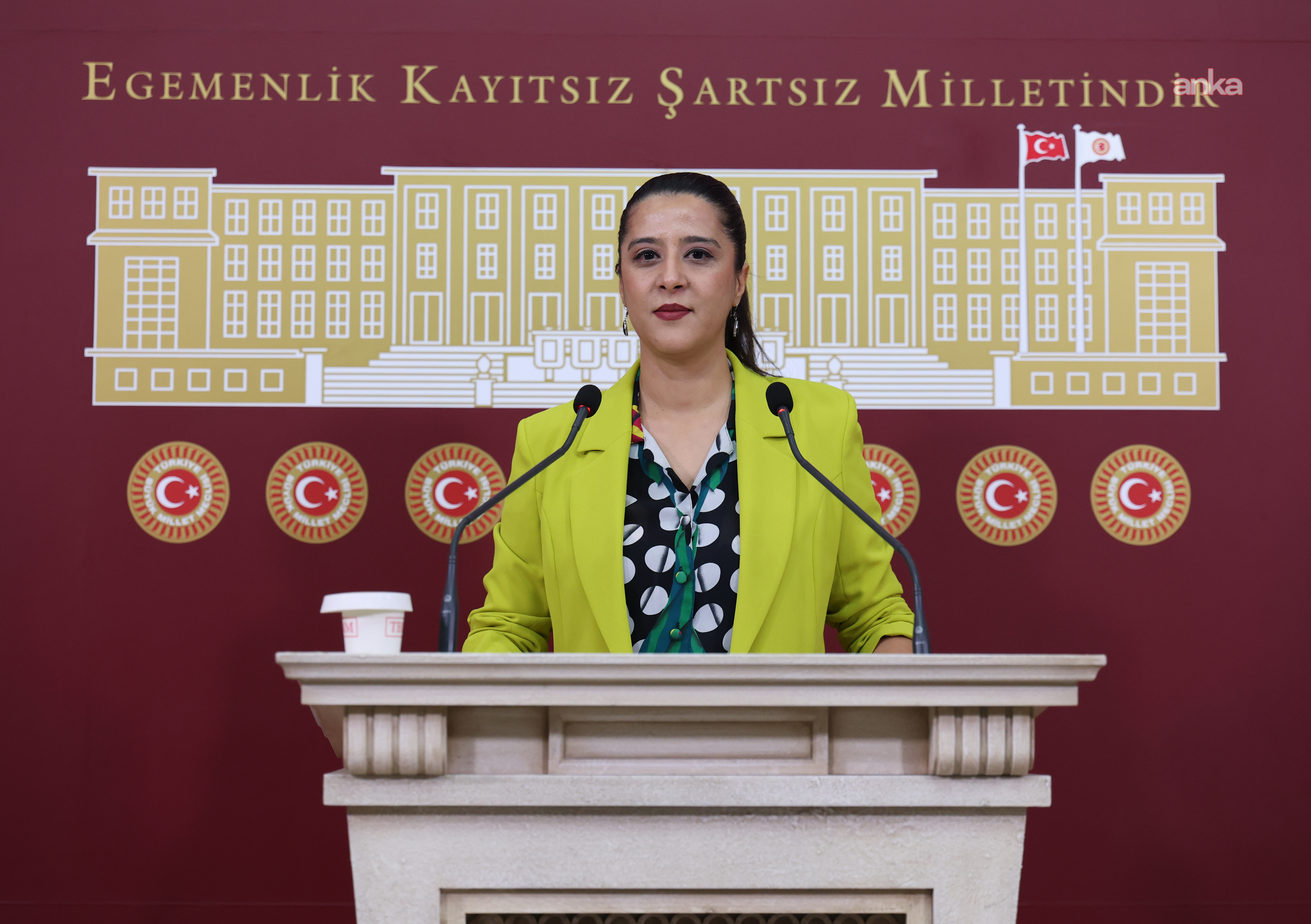 Karaca Akşehir soru önergesi