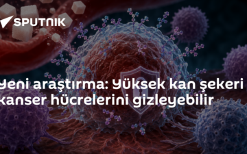 Yüksek kan şekeri