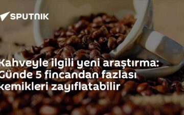 kemik yoğunluğu