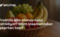 Fruktoz