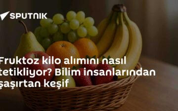 fruktoz