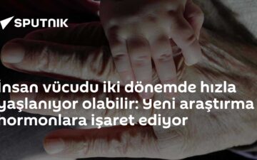 yaşlanma modeli