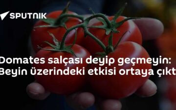 likopen