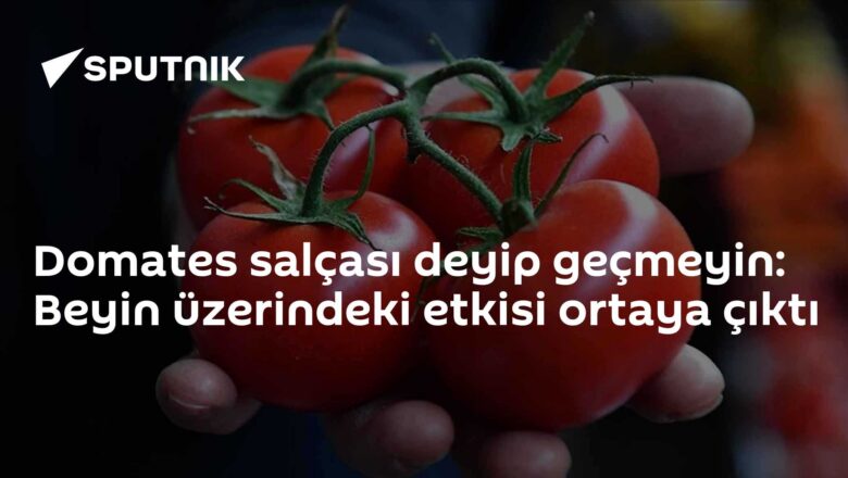 likopen