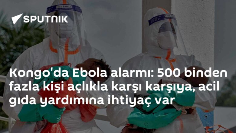 Ebola salgını