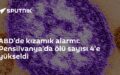 kızamık