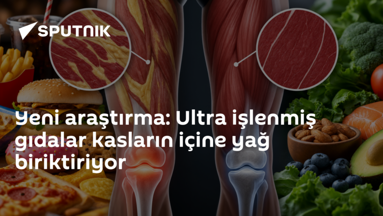 ultra işlenmiş gıdalar