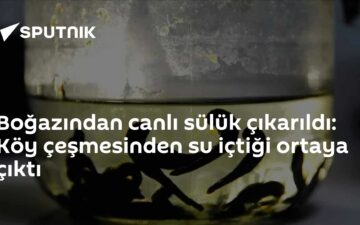 sülük