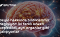 beyin kökenleri