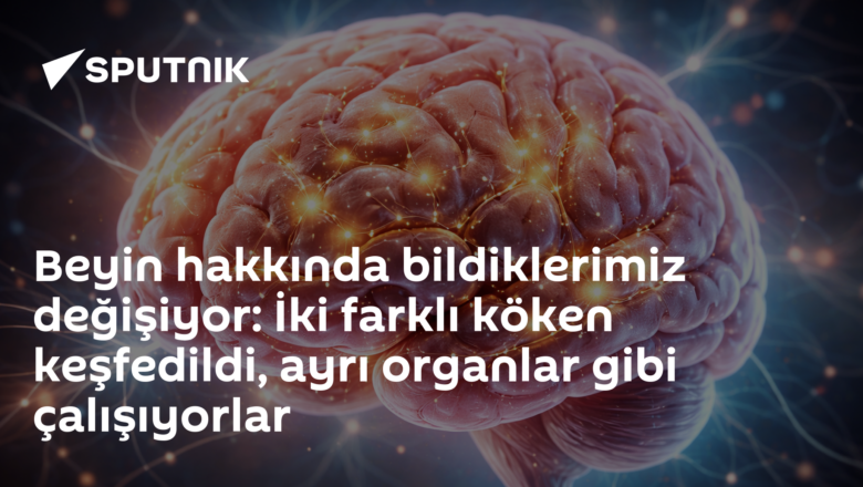 beyin kökenleri