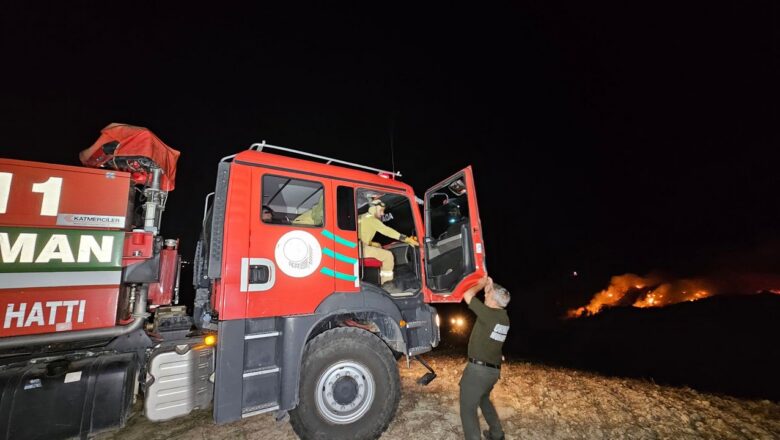 Adana yangını